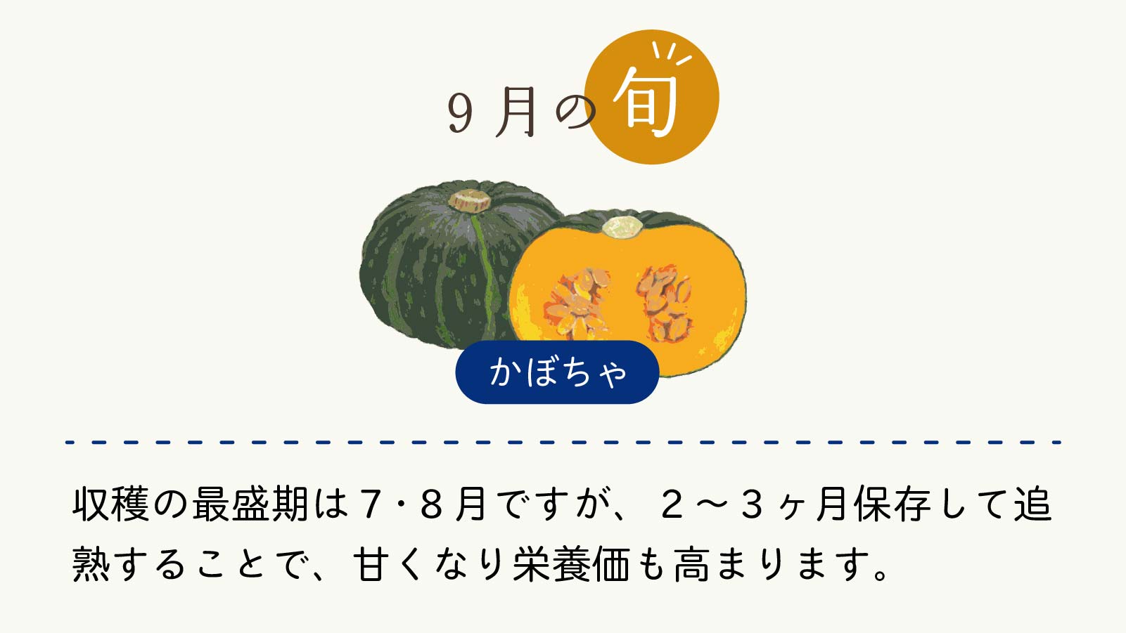 旬の食材から栄養を摂ろう Vol 2 かぼちゃ Pick Wp